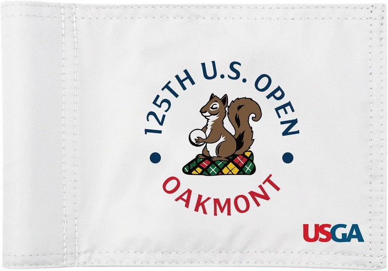 COGOLFING 2025 Themed Mini Golf Flag, 8x6 Inch, Double-Sided Silk-Printed, Durable 420D Nylon, Ideal for Backyard Practice Putting Green - Image 1